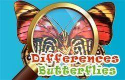 Garden Spot the Differences Puzzle