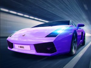 Fast & Furious Speed Racing Game Arcade Game