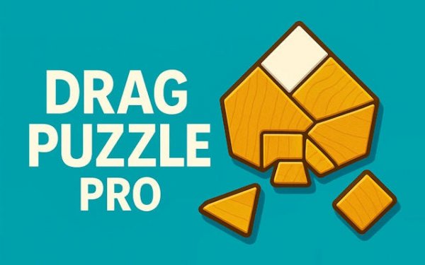 Drag Puzzle Pro: Block Puzzle Logic Game