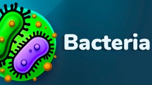 Microbe Morph Lab